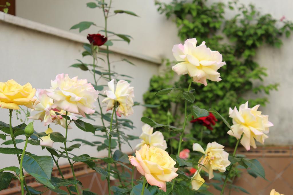 Apartamento Jardin De La Ribera. Córdoba Exterior foto