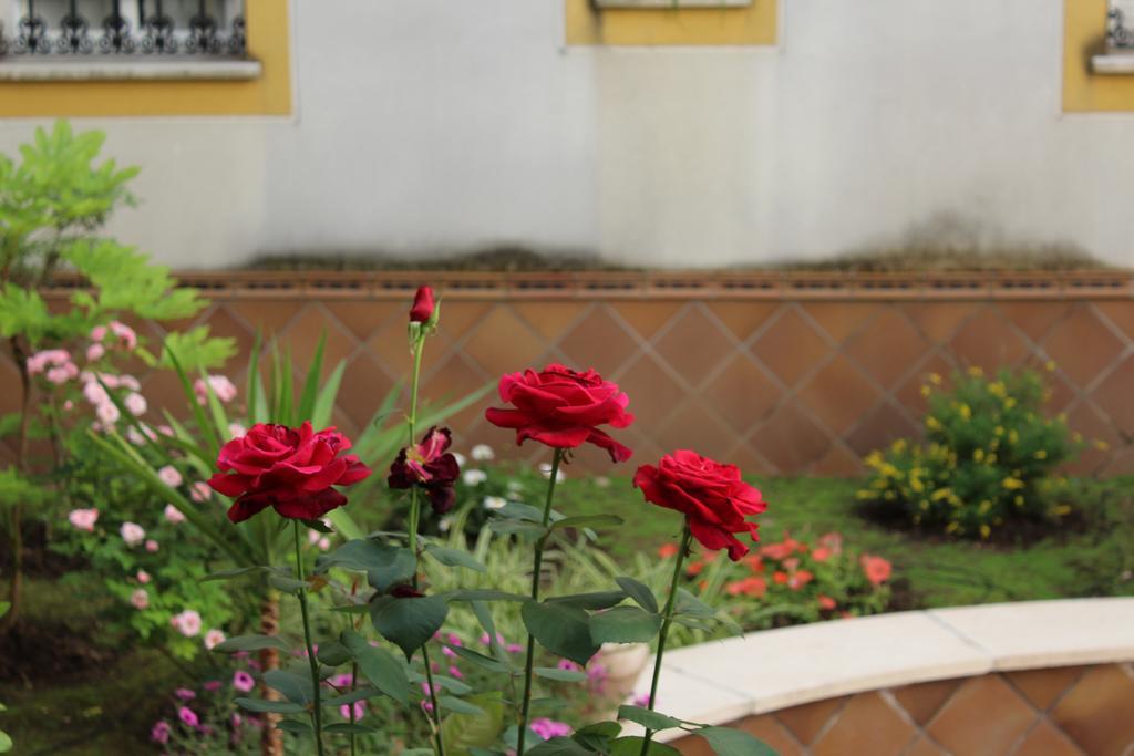 Apartamento Jardin De La Ribera. Córdoba Exterior foto
